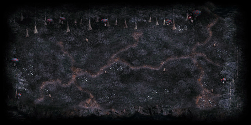 The Boundary